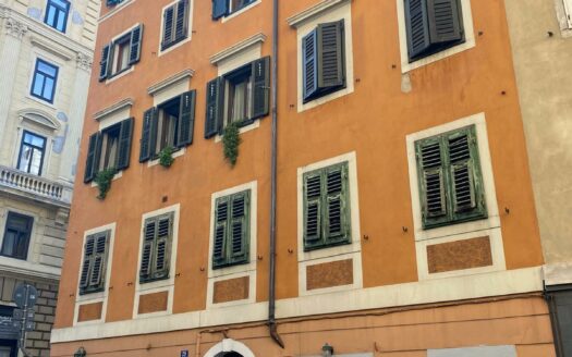 AFFITTATO – Via della Ginnastica/Ospedale Maggiore