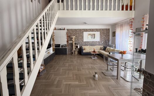 Opicina – Attico Bilivello con terrazze