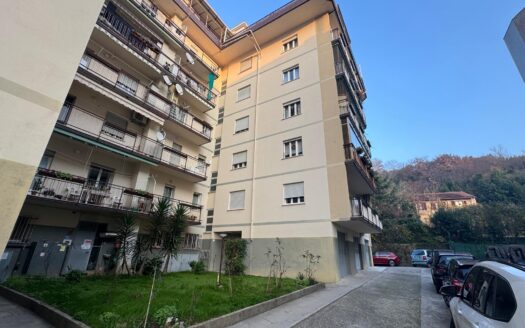 AFFITTATO – MUGGIA – Viale XXV Aprile